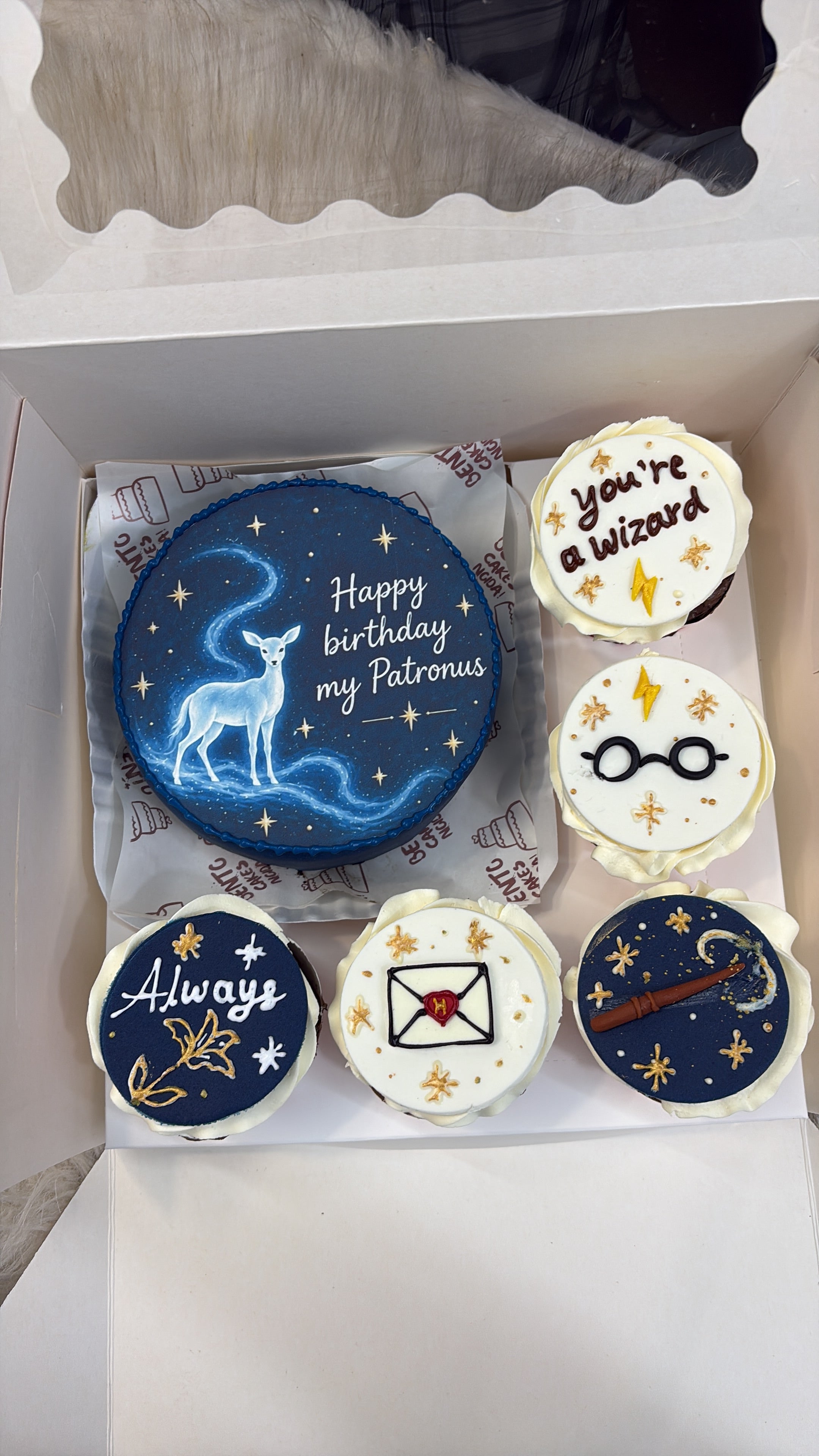 Harry Potter Theme Bento Cake & Cupcake Combo – Patronus Birthday Box