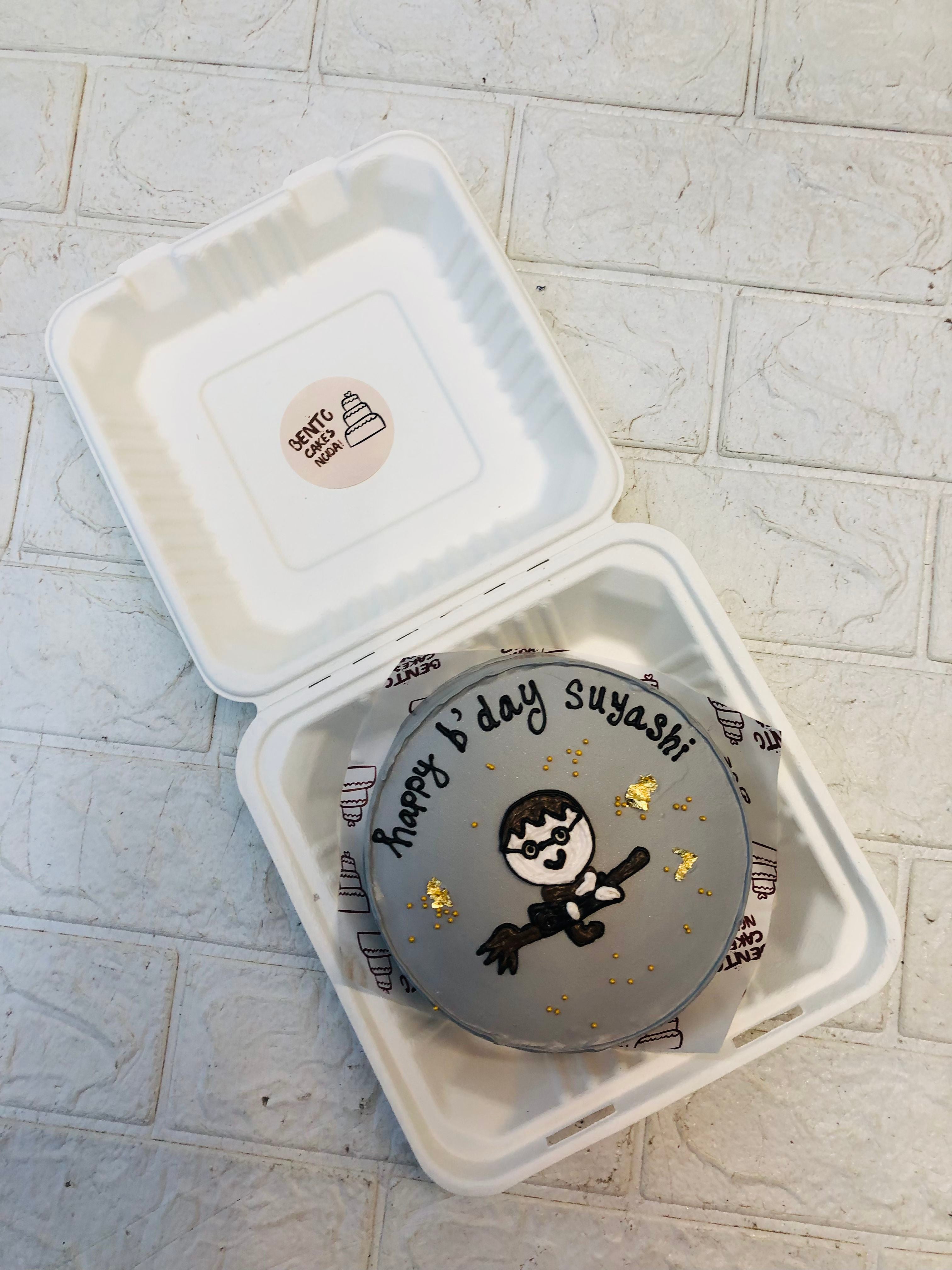 Herr Potter Theme Bento Cake