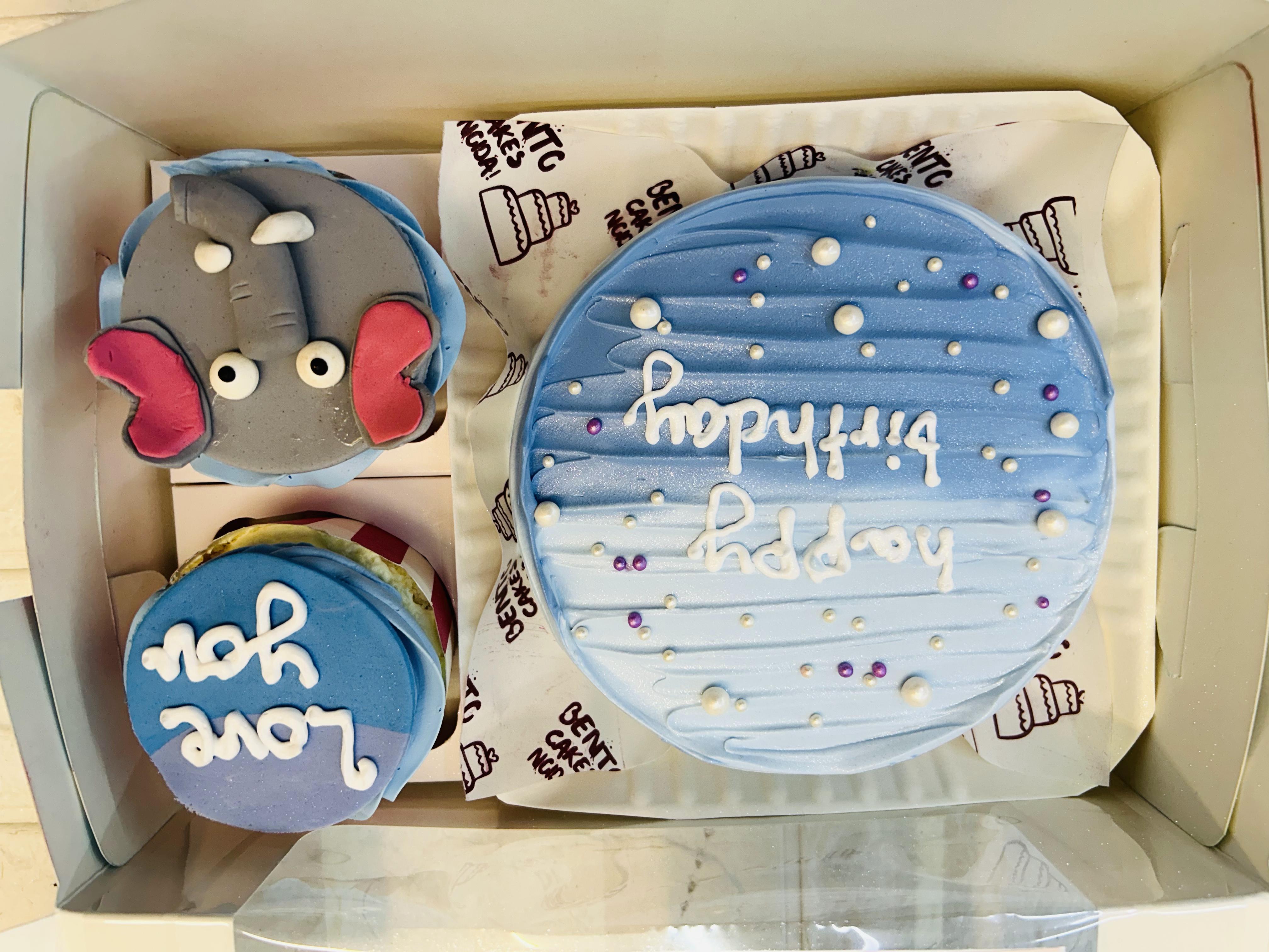 Elephant Design Mini Bento Combo Cake