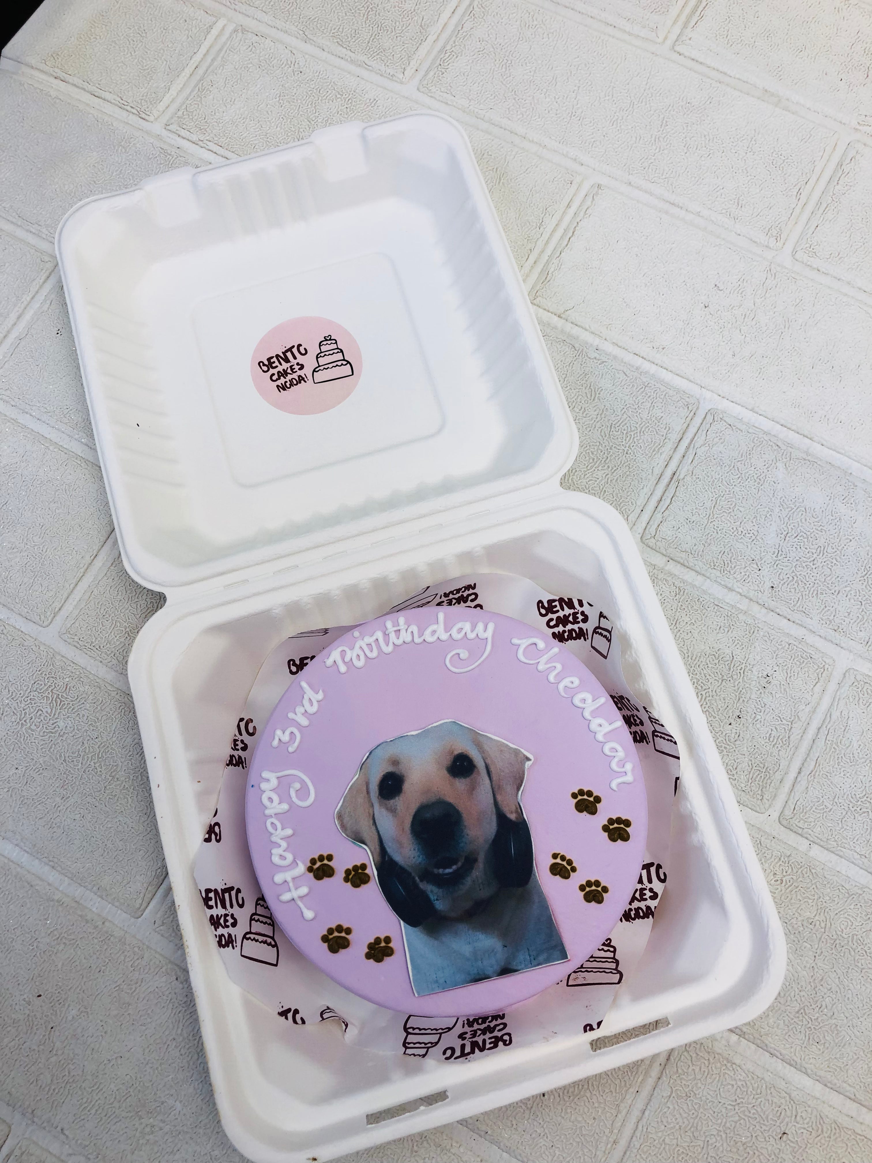 Doggy Birthday Theme Bento Cake