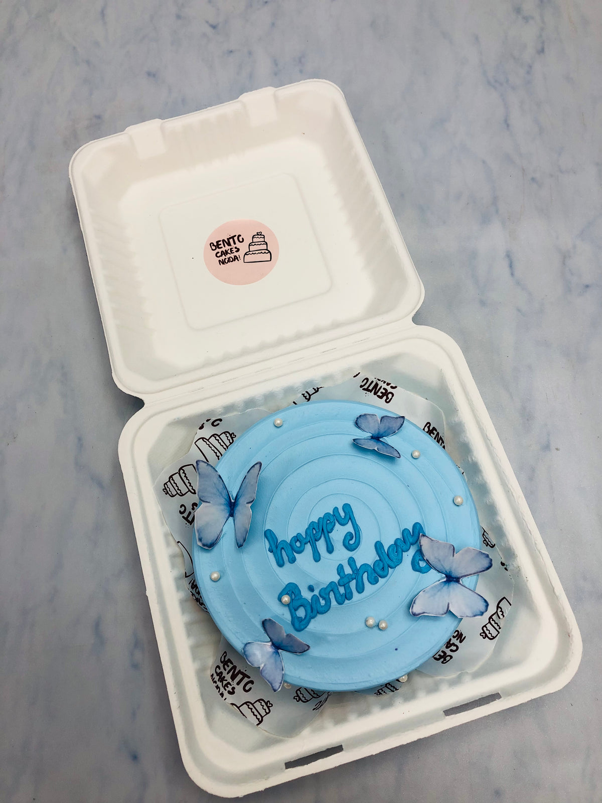 Light Blue Butterfly Bento Cake