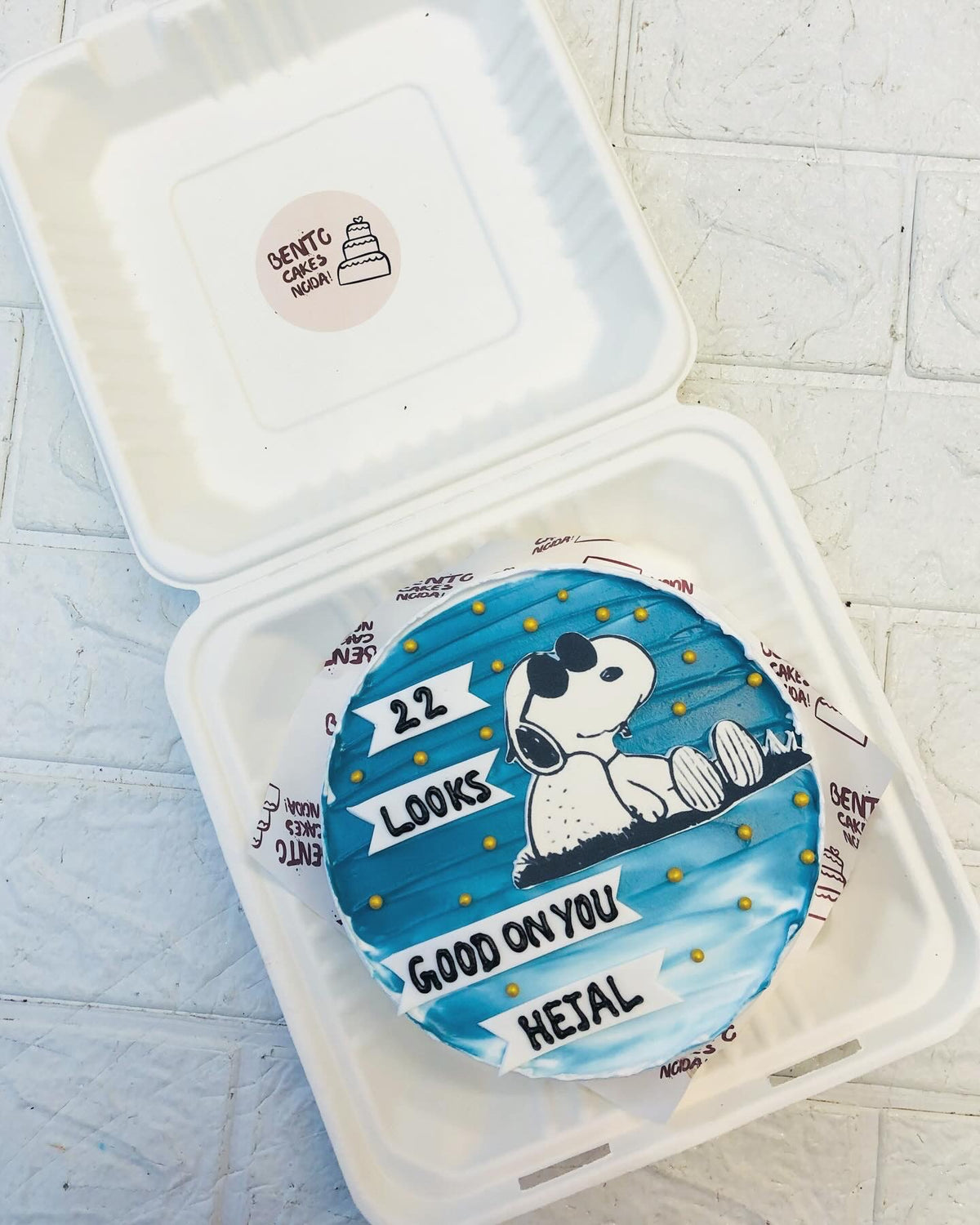 Snoopy Theme Aesthetic Bento Cake