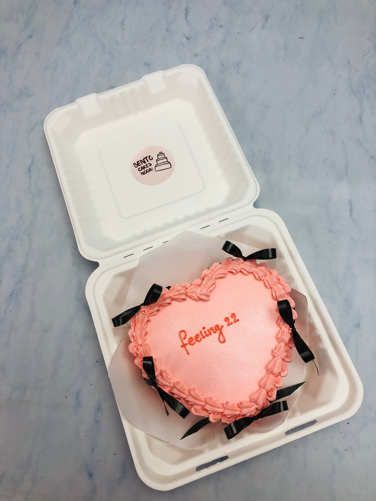 Feeling 22 Theme Aesthetic Heart Bento Cake
