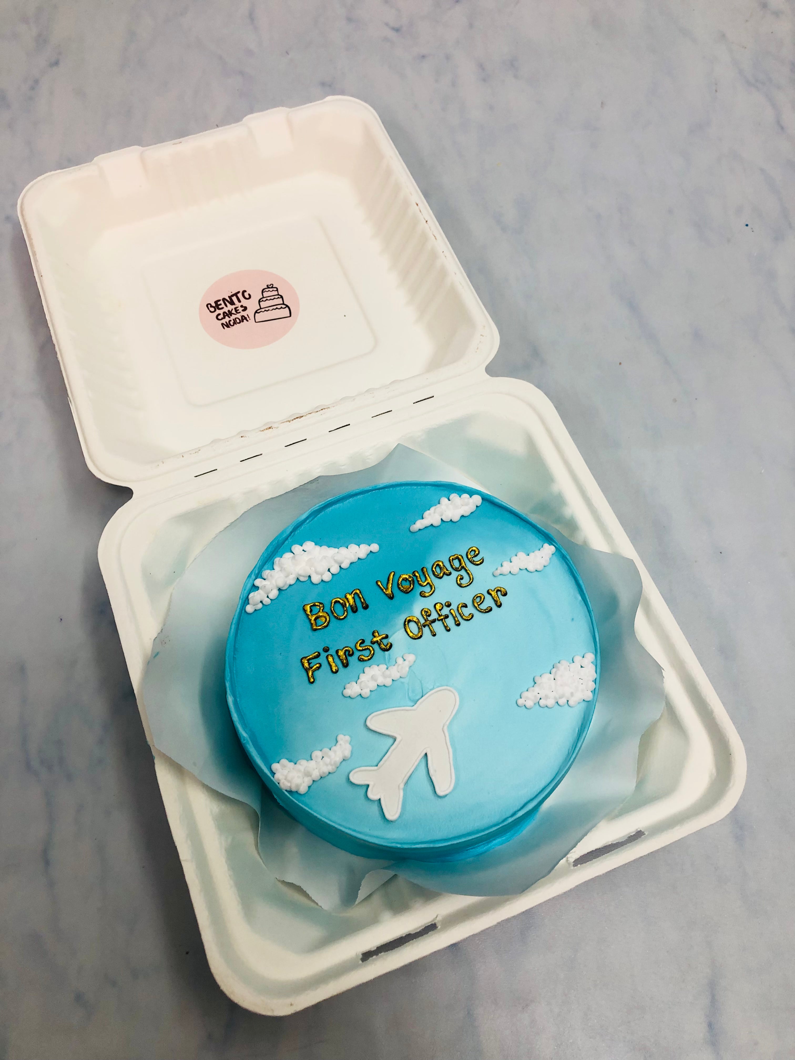 Bon Voyage Theme Bento Cake