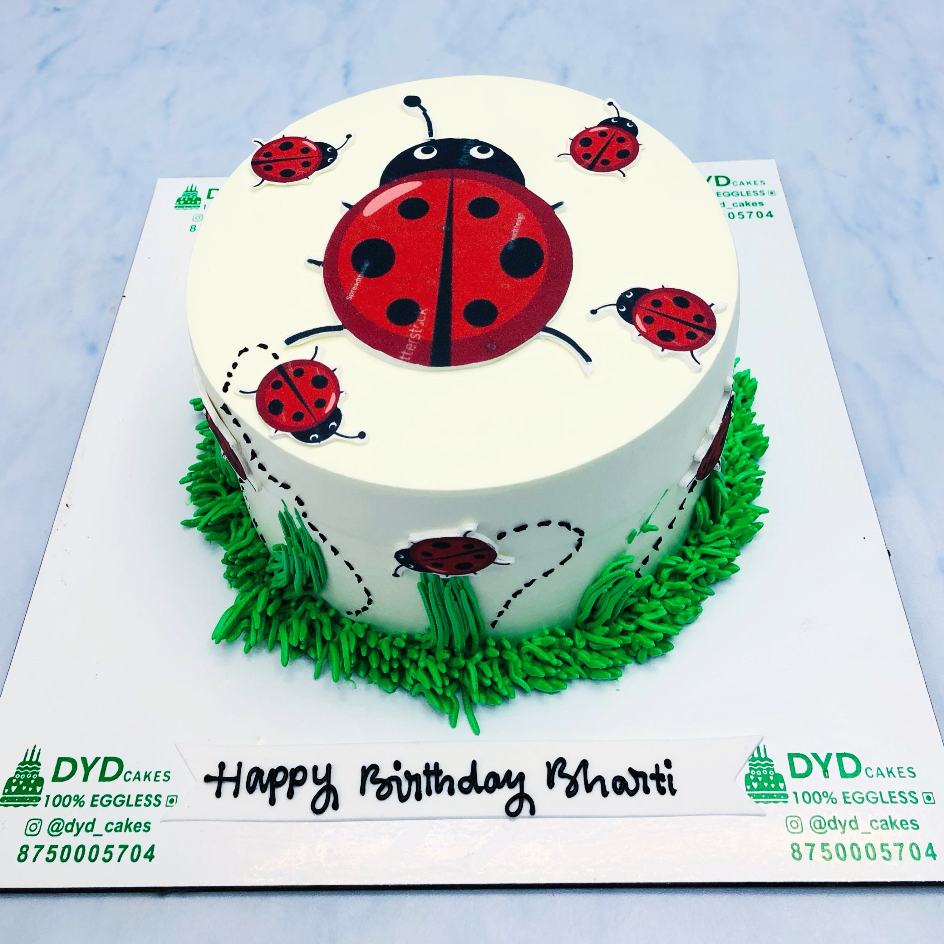 Ladybug Theme Cake