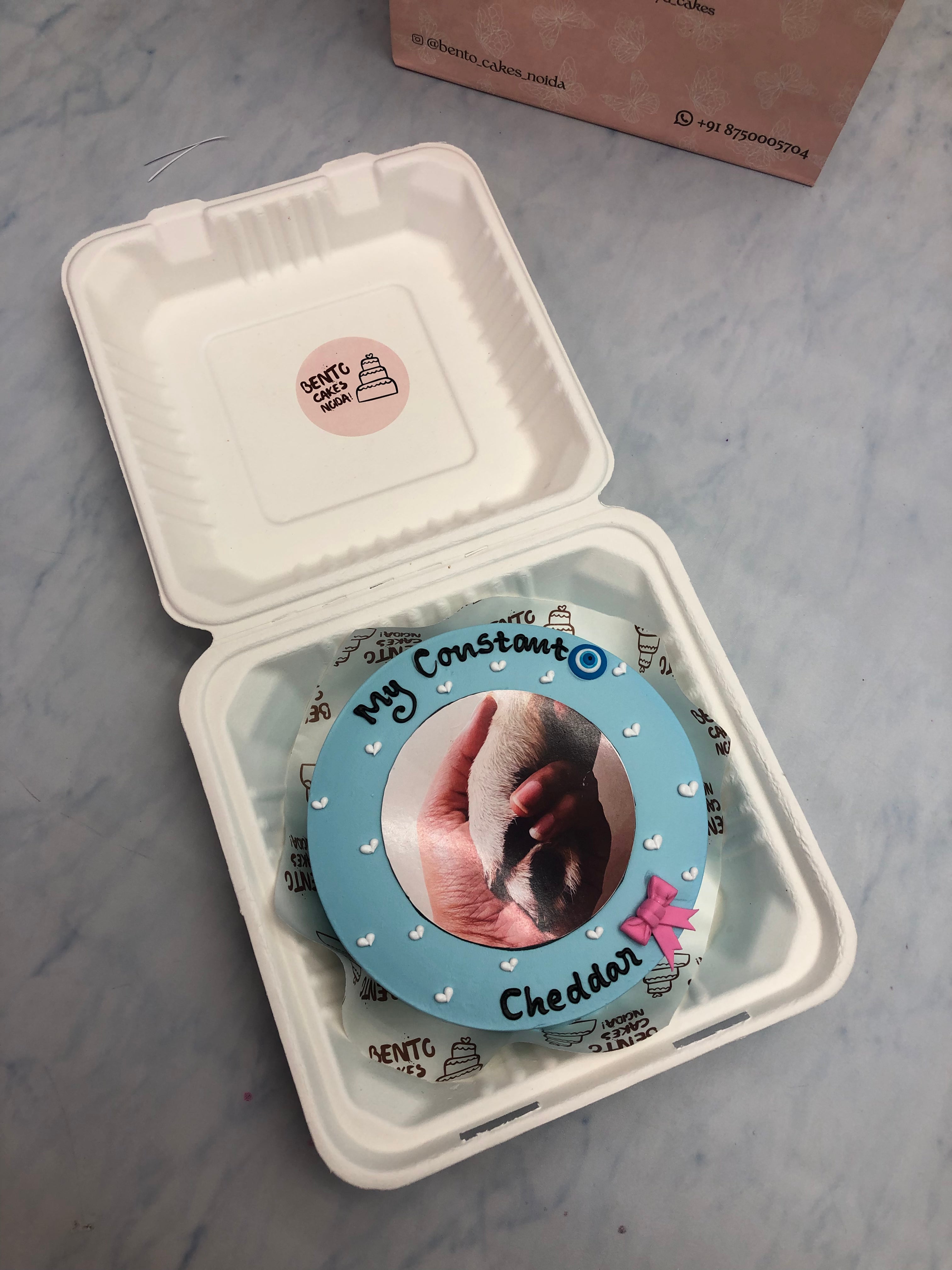 Cute Dog Birthday Theme Bento Cake