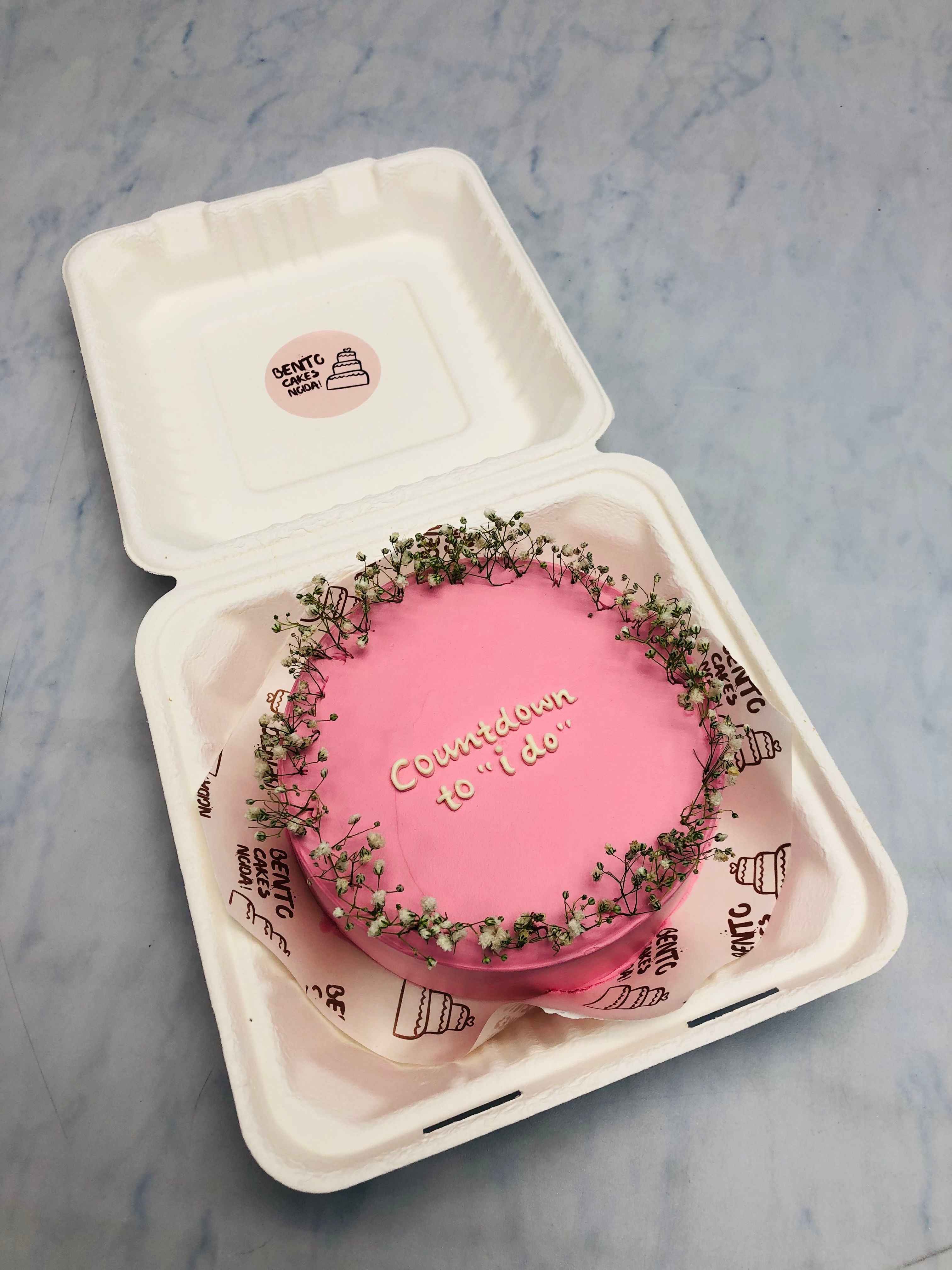 Aesthetic Pink Bento Cake