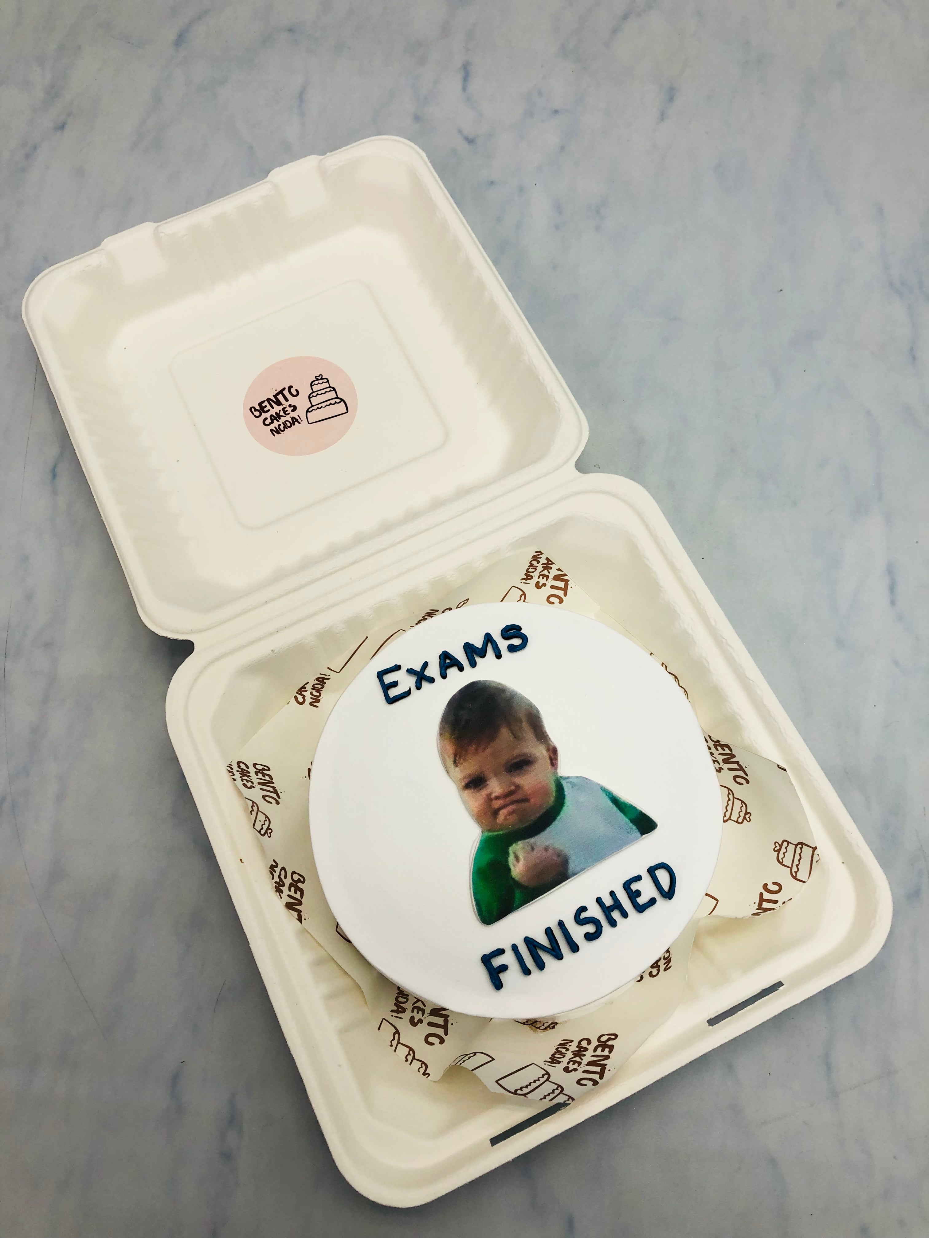 Kids Photo Bento Cake