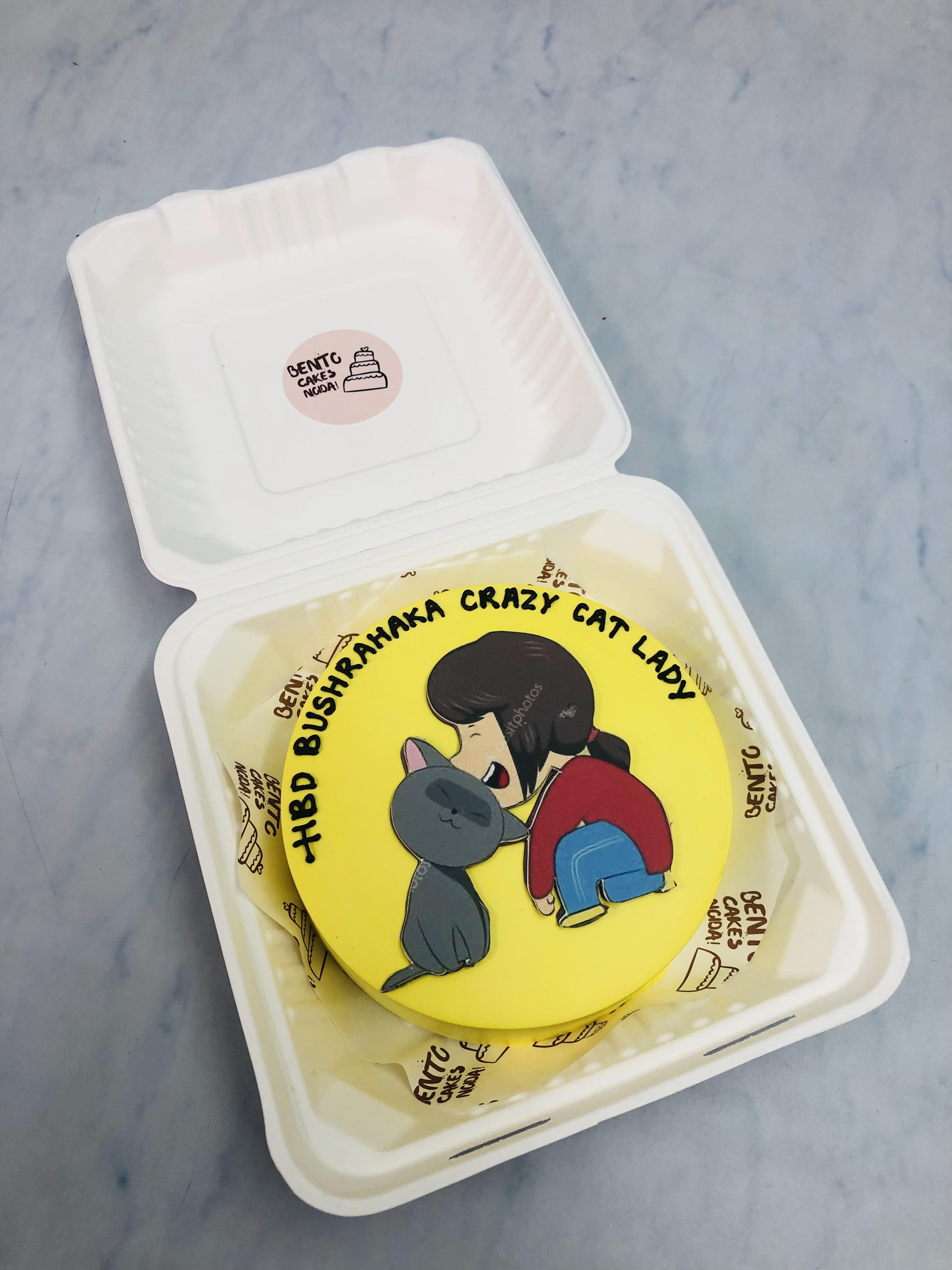 Crazy Cat Lady Bento Cake