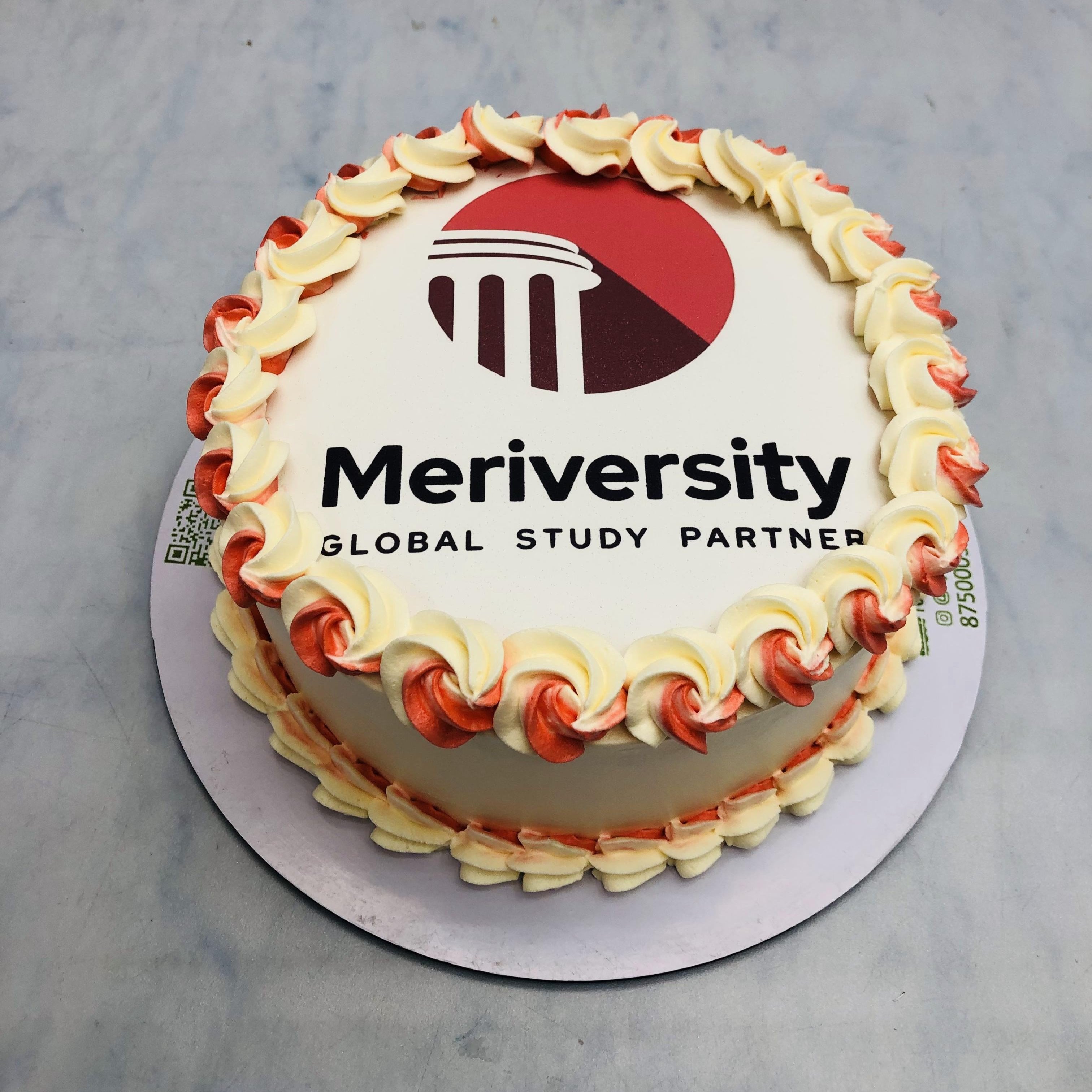 Meriversity Institution Theme Cake