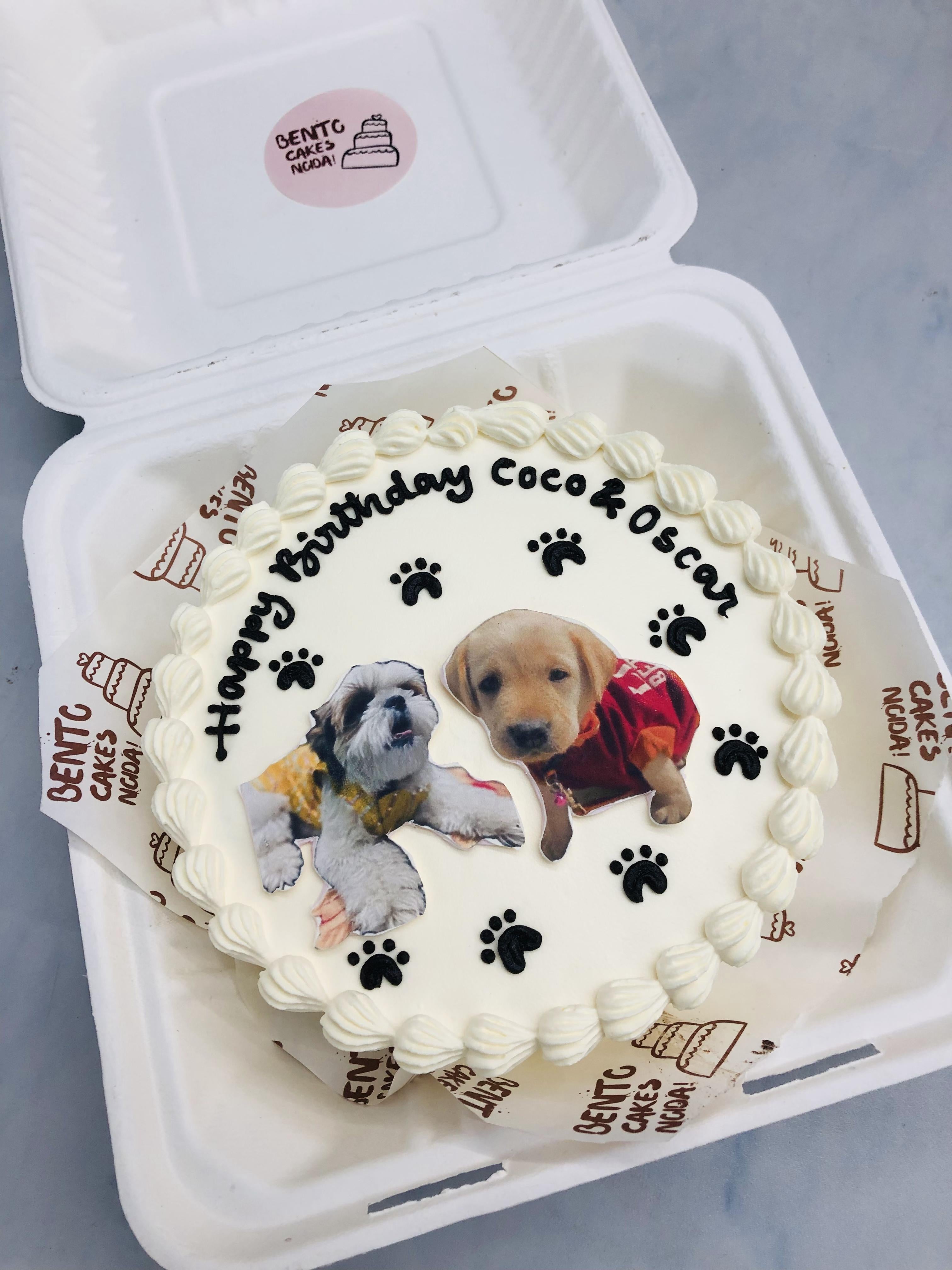 Pets Birthday Theme Bento Cake