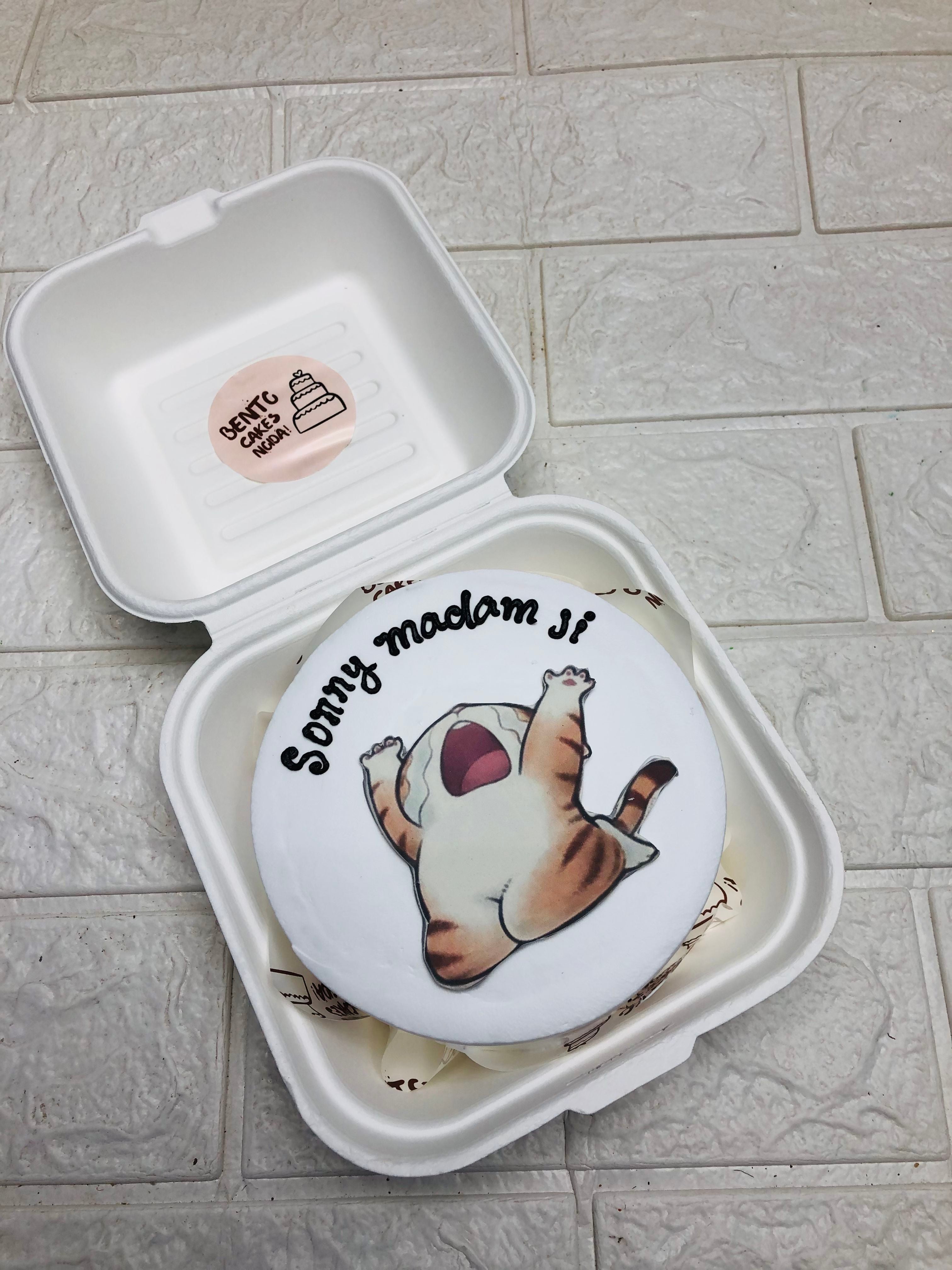 Cute Cat Theme Bento Cake