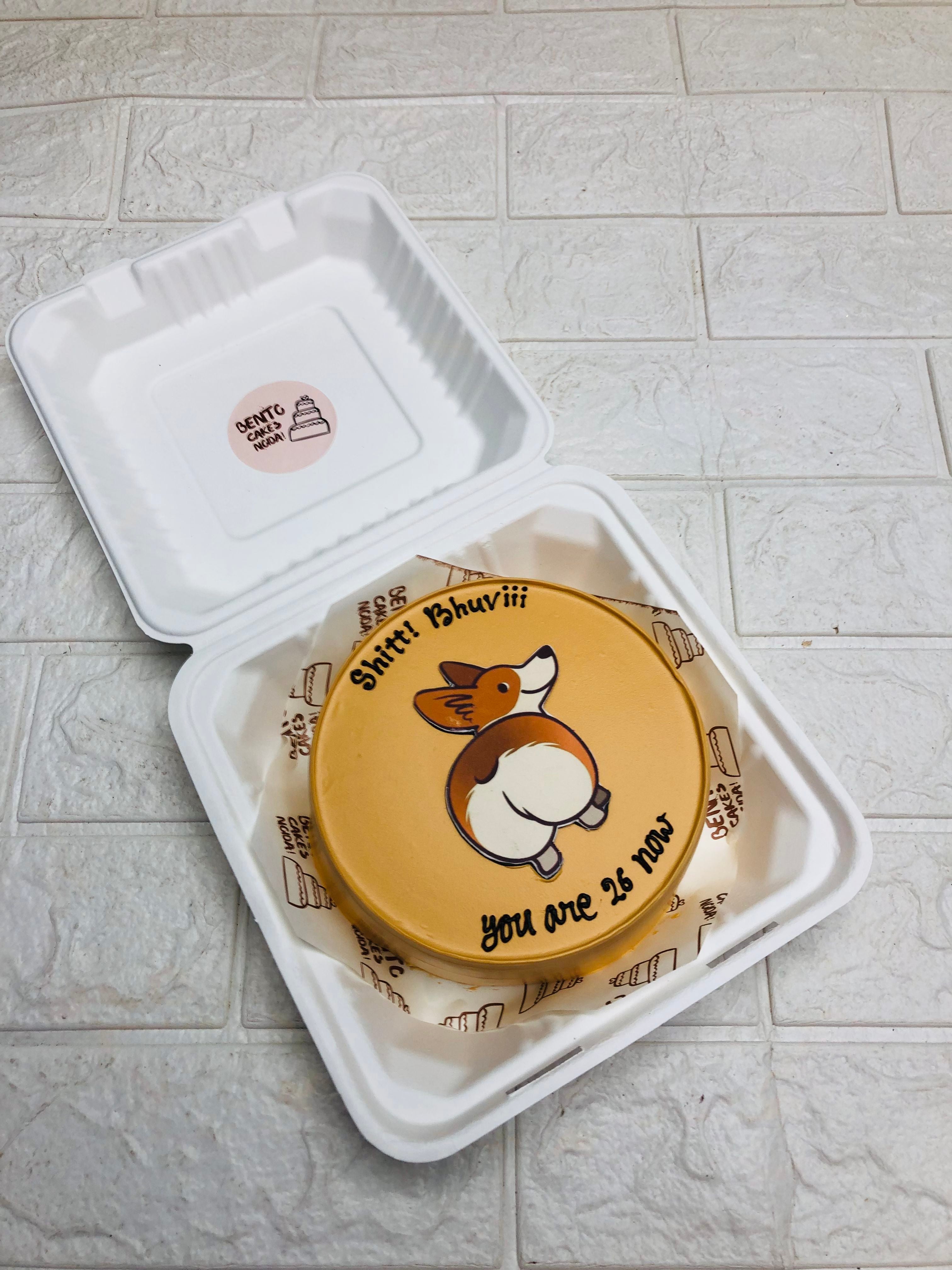 Dog Theme Orange Bento Cake