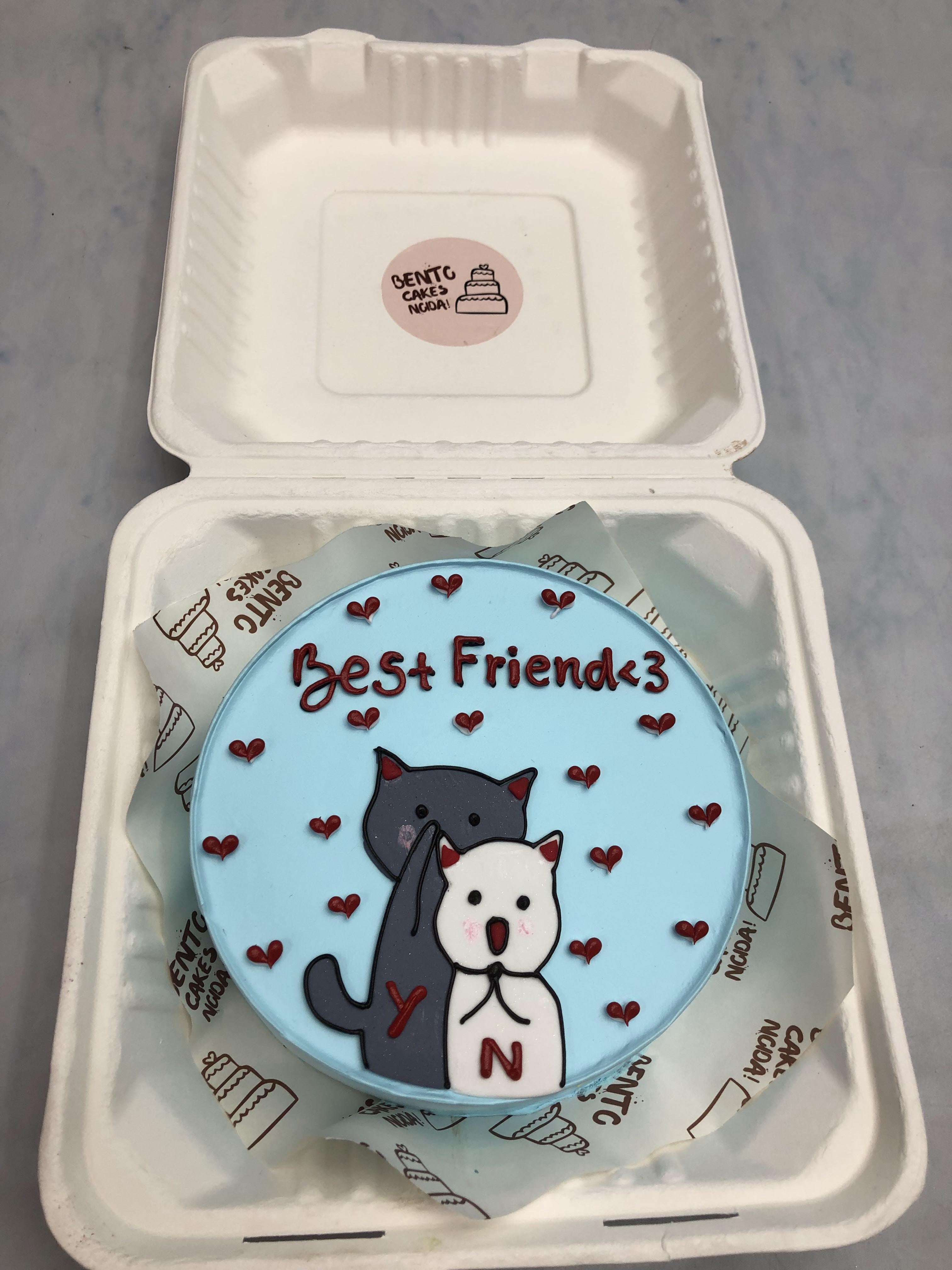 A light blue bento cake showing two cat friends celebtrating friends birthday.