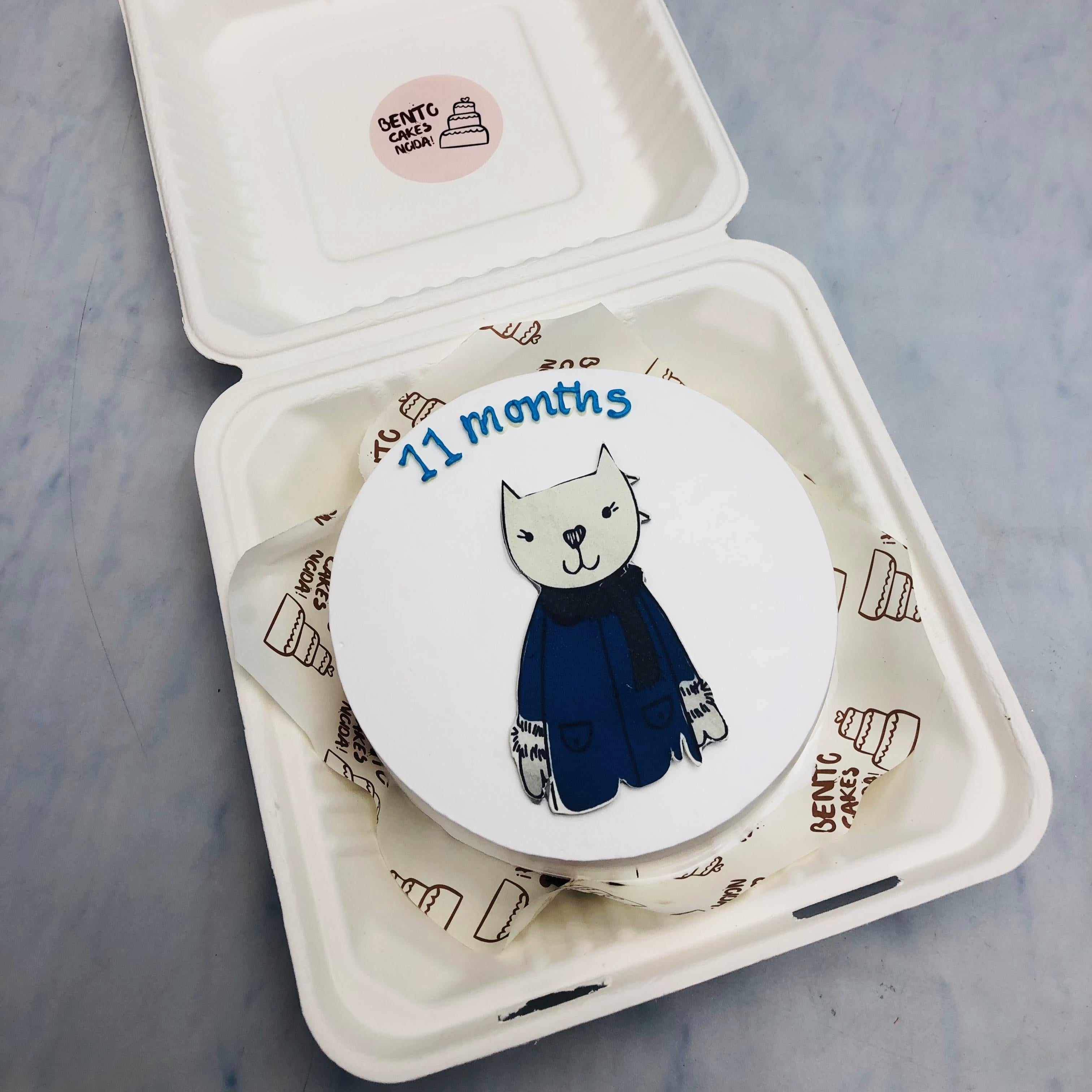 A white bento cake having a blue cat wearing coat print.
