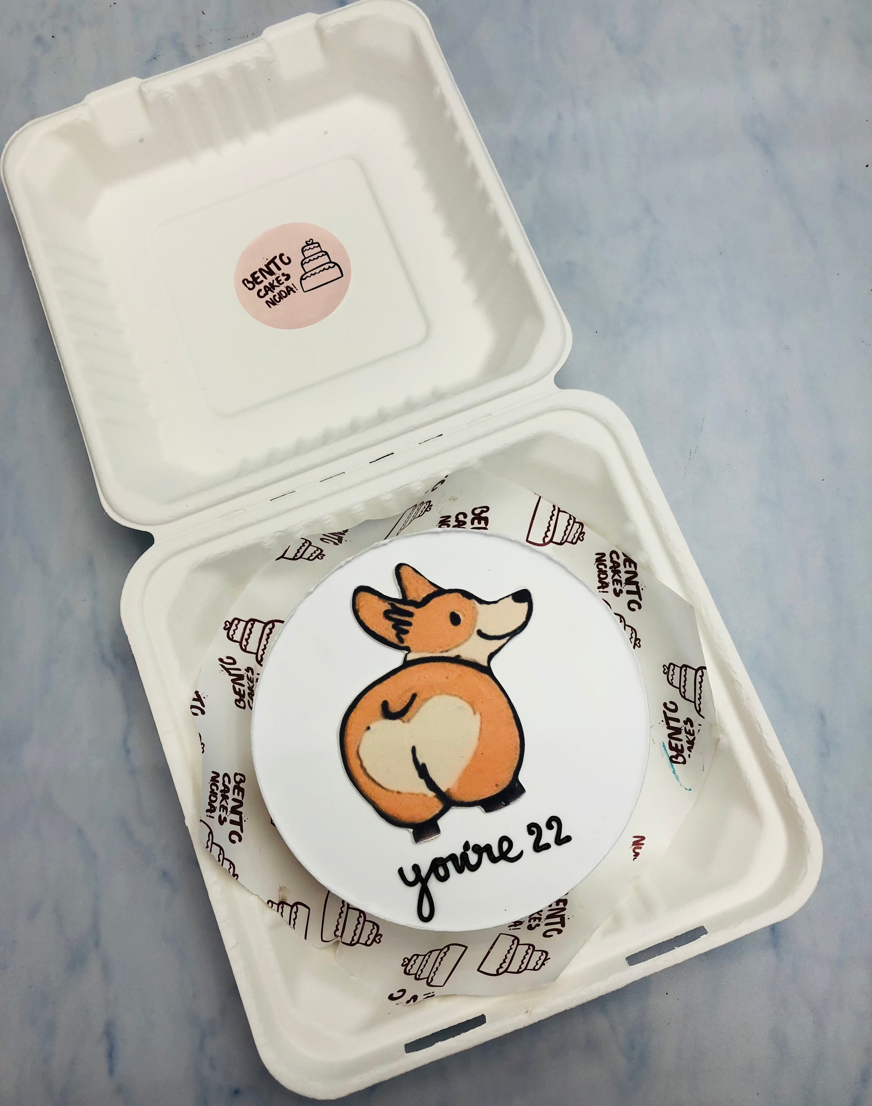 A white bento cake having a dog print showing back. 