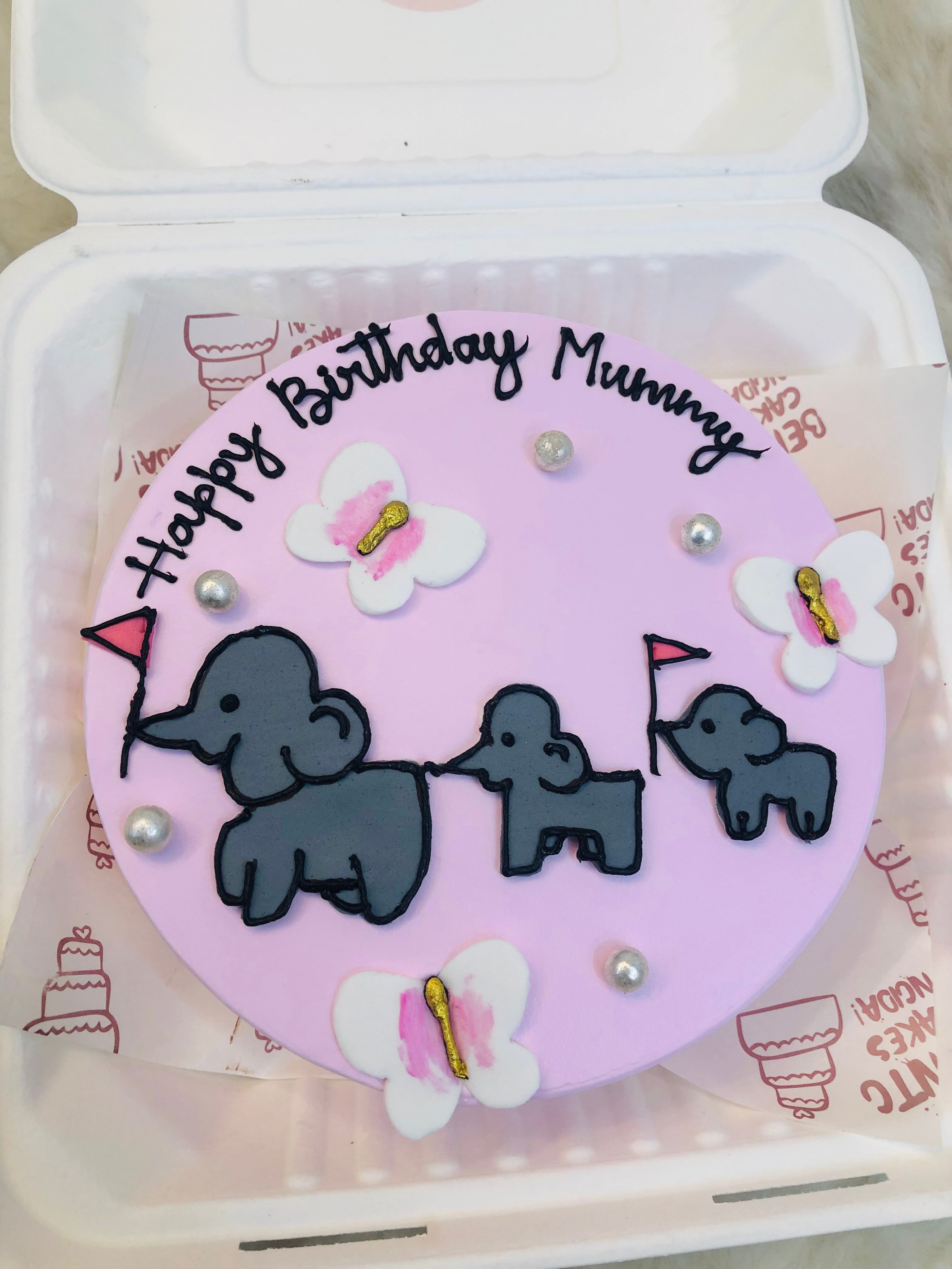 Elephant & Butterfly Theme Bento Cake