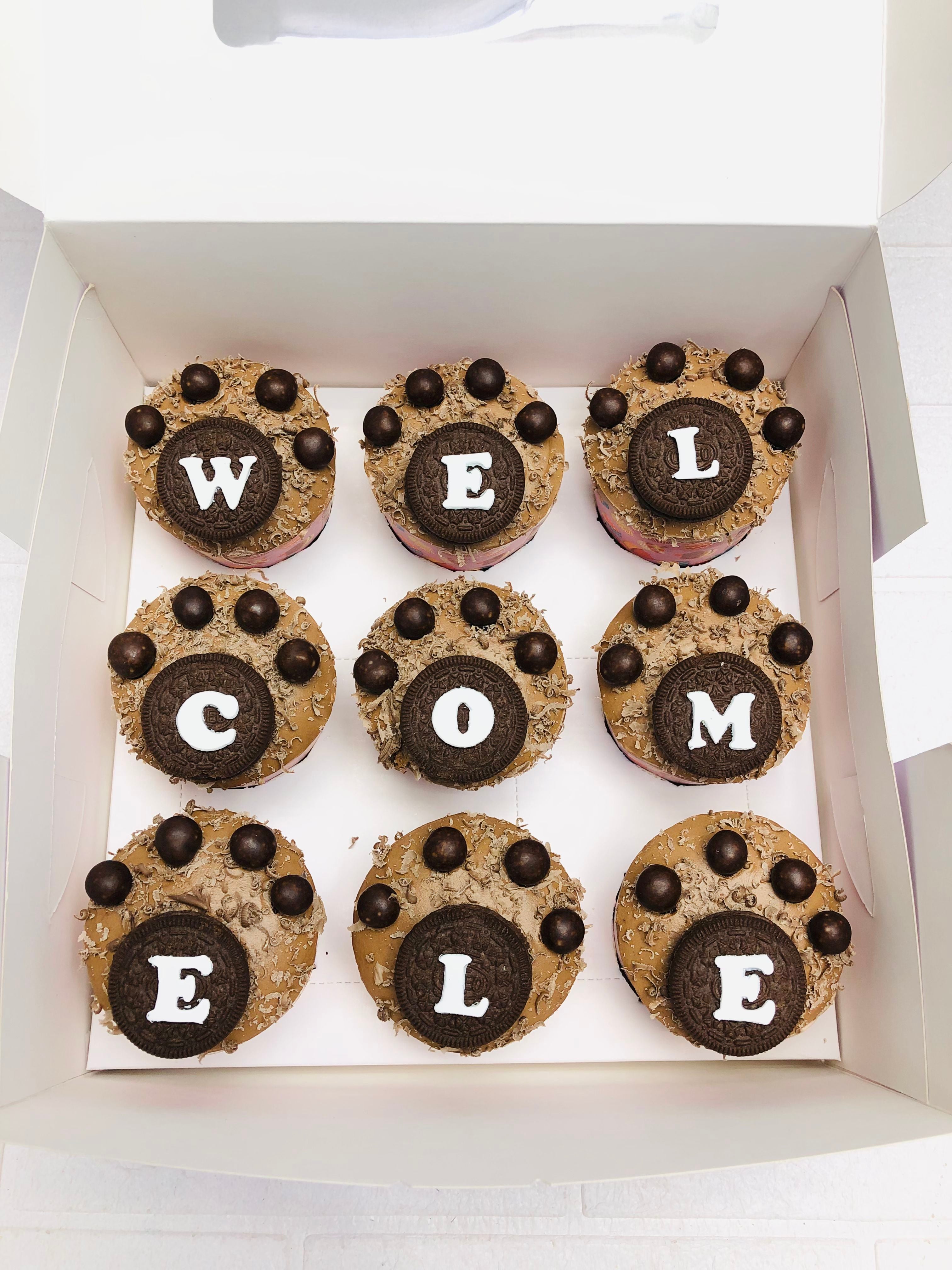 Welcome Cupcake Box