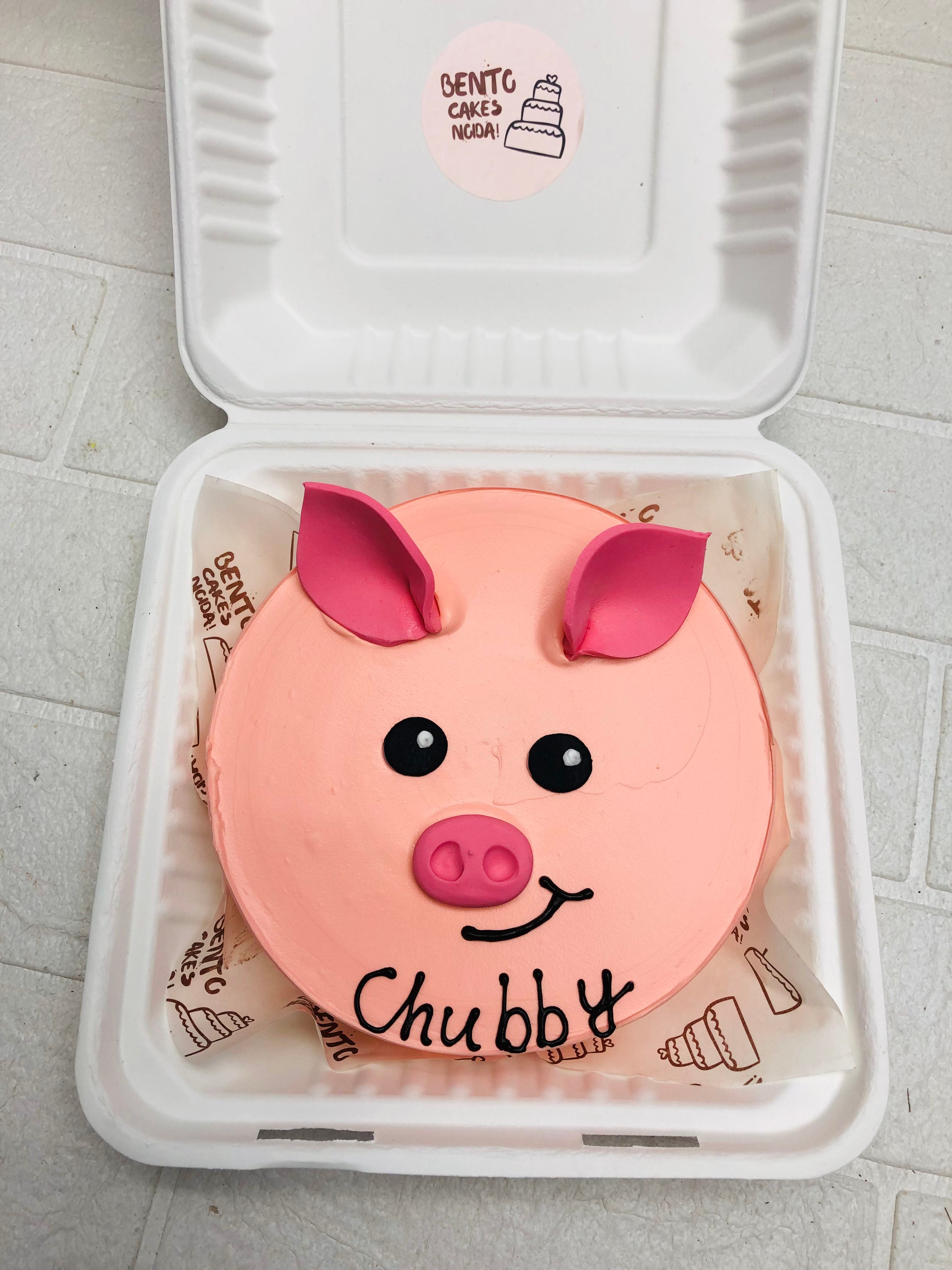 Pig Face Bento Cake