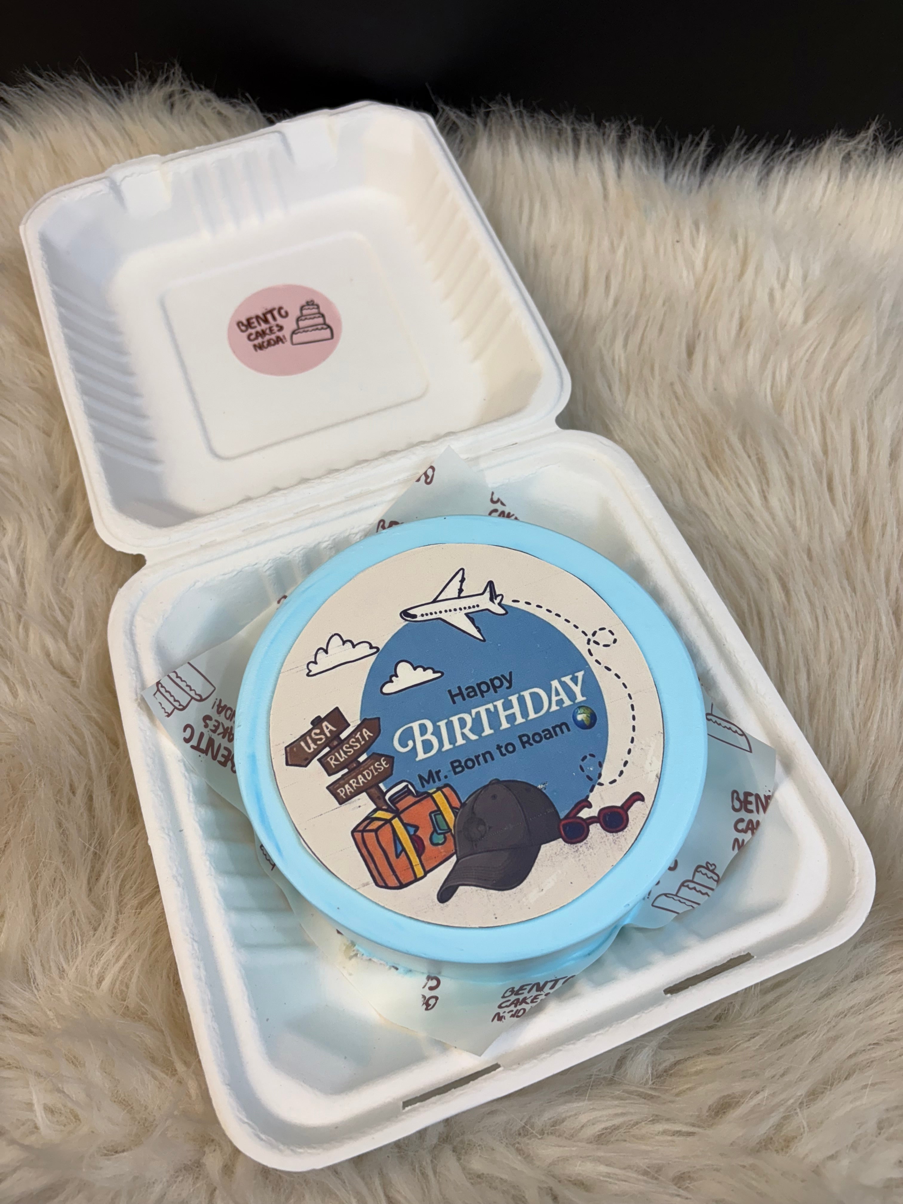 Travel Bento Cake – Born to Roam Birthday Special