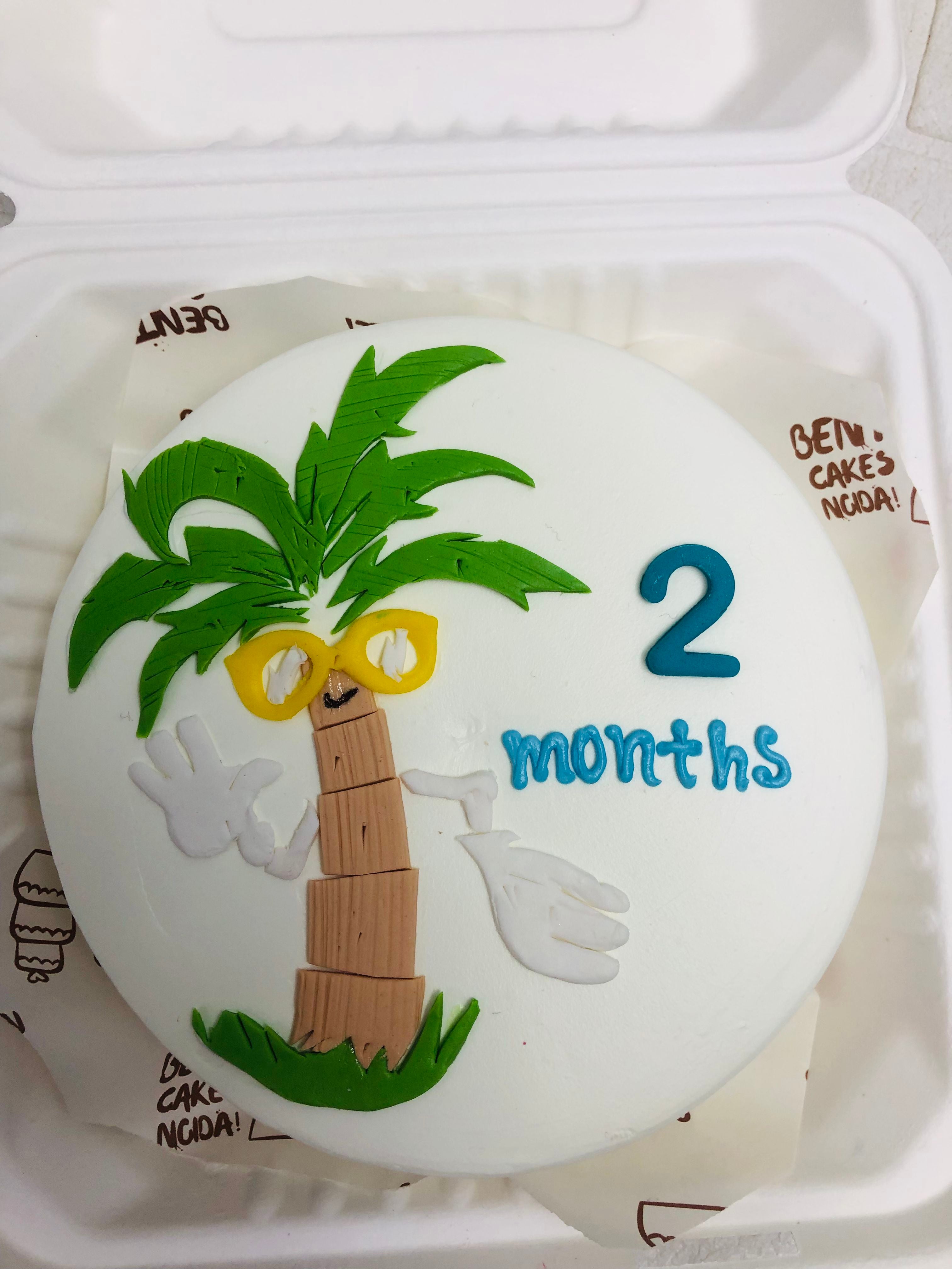 2 Month Celebration Bento Cake