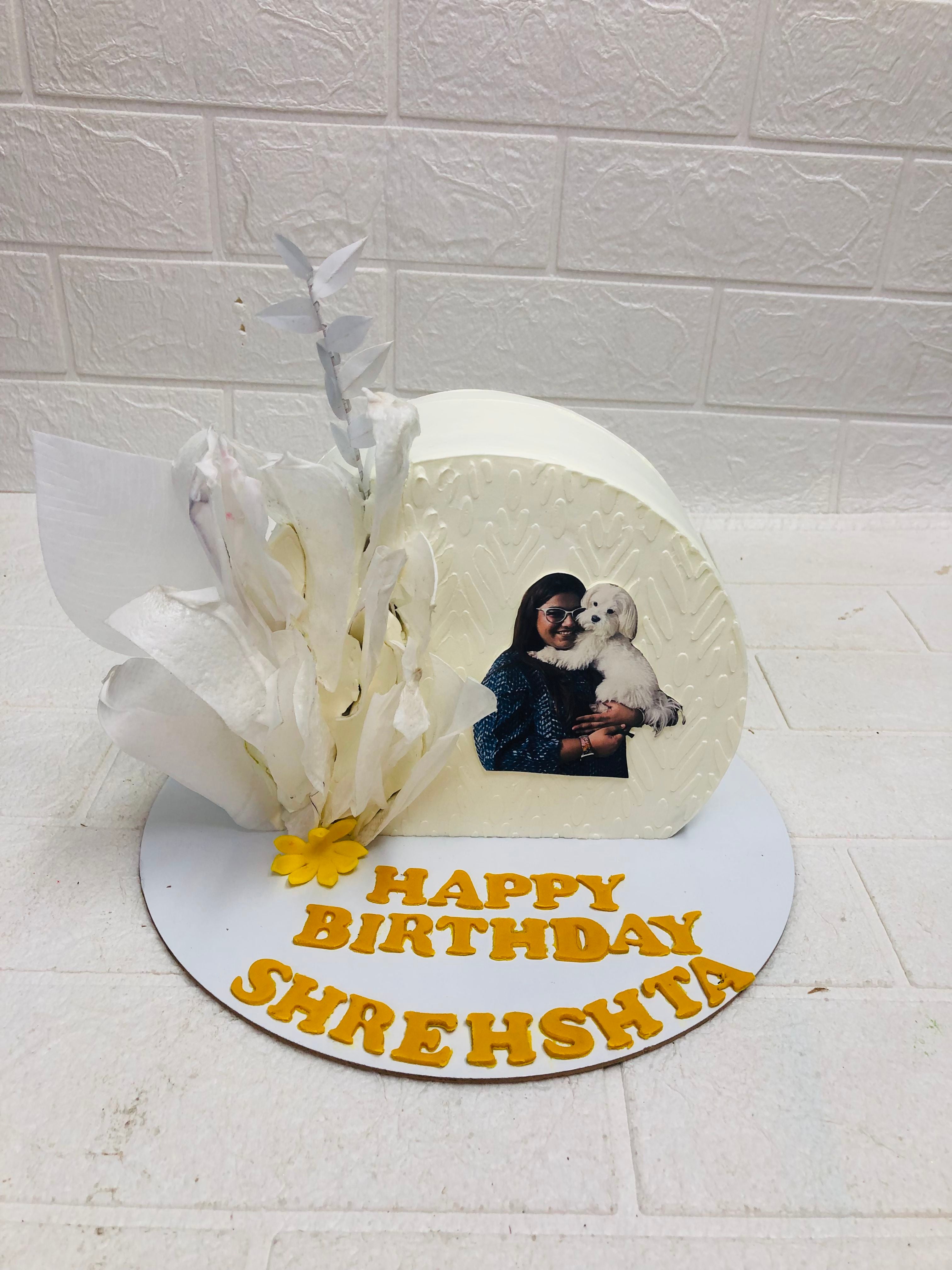 half pet photo cake