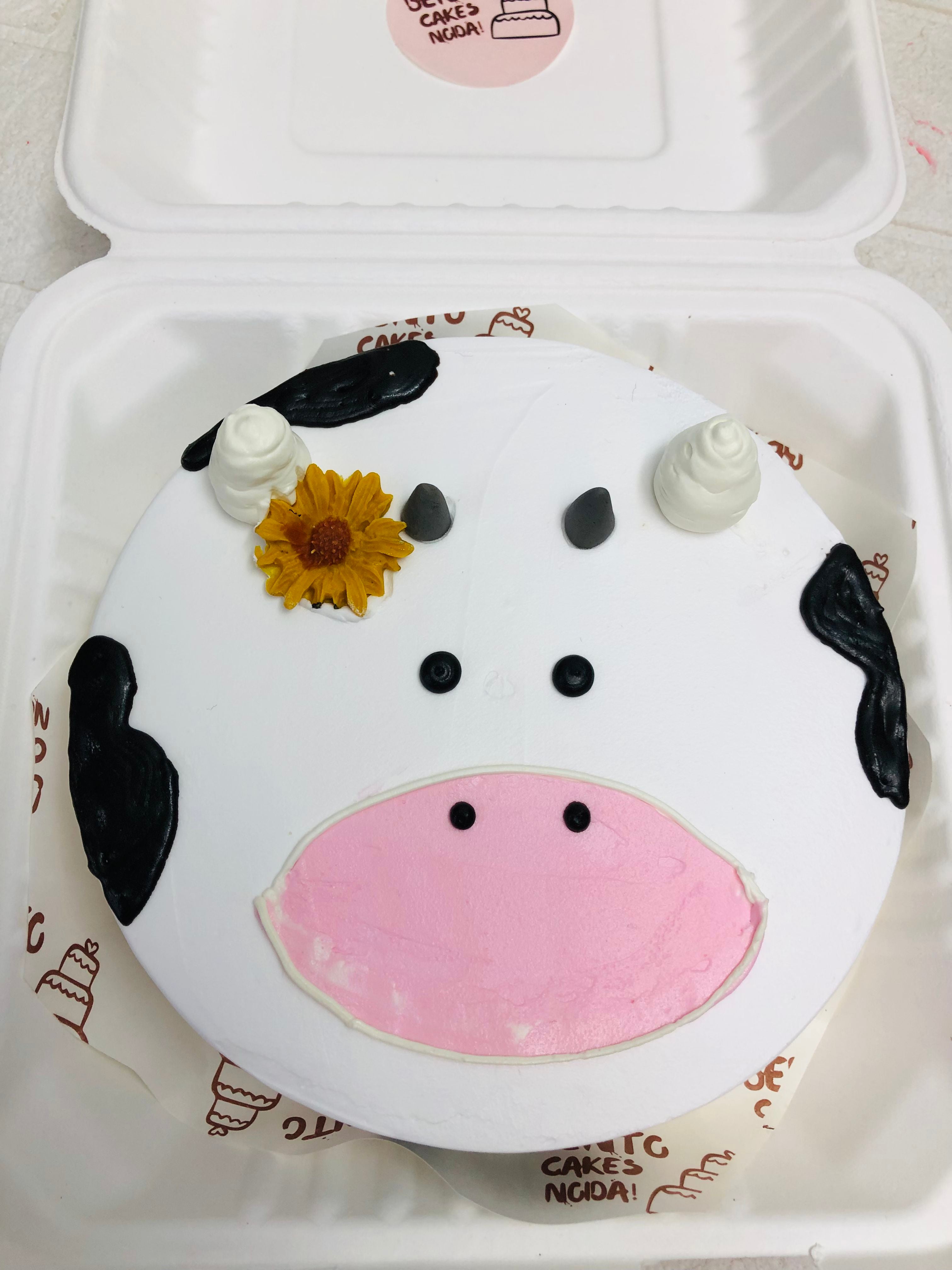 Cow Face Bento Cake