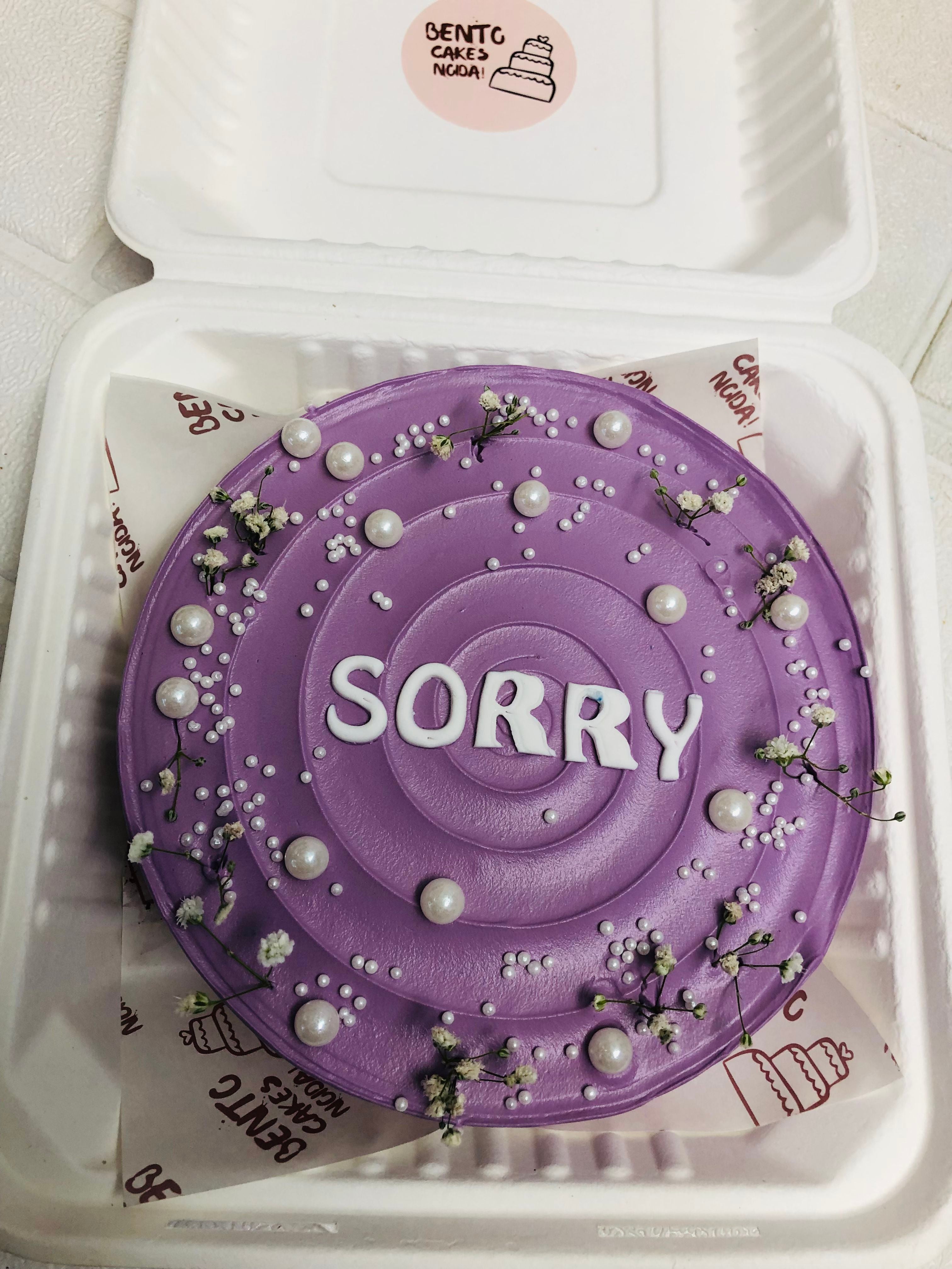 Sorry Bento Cake