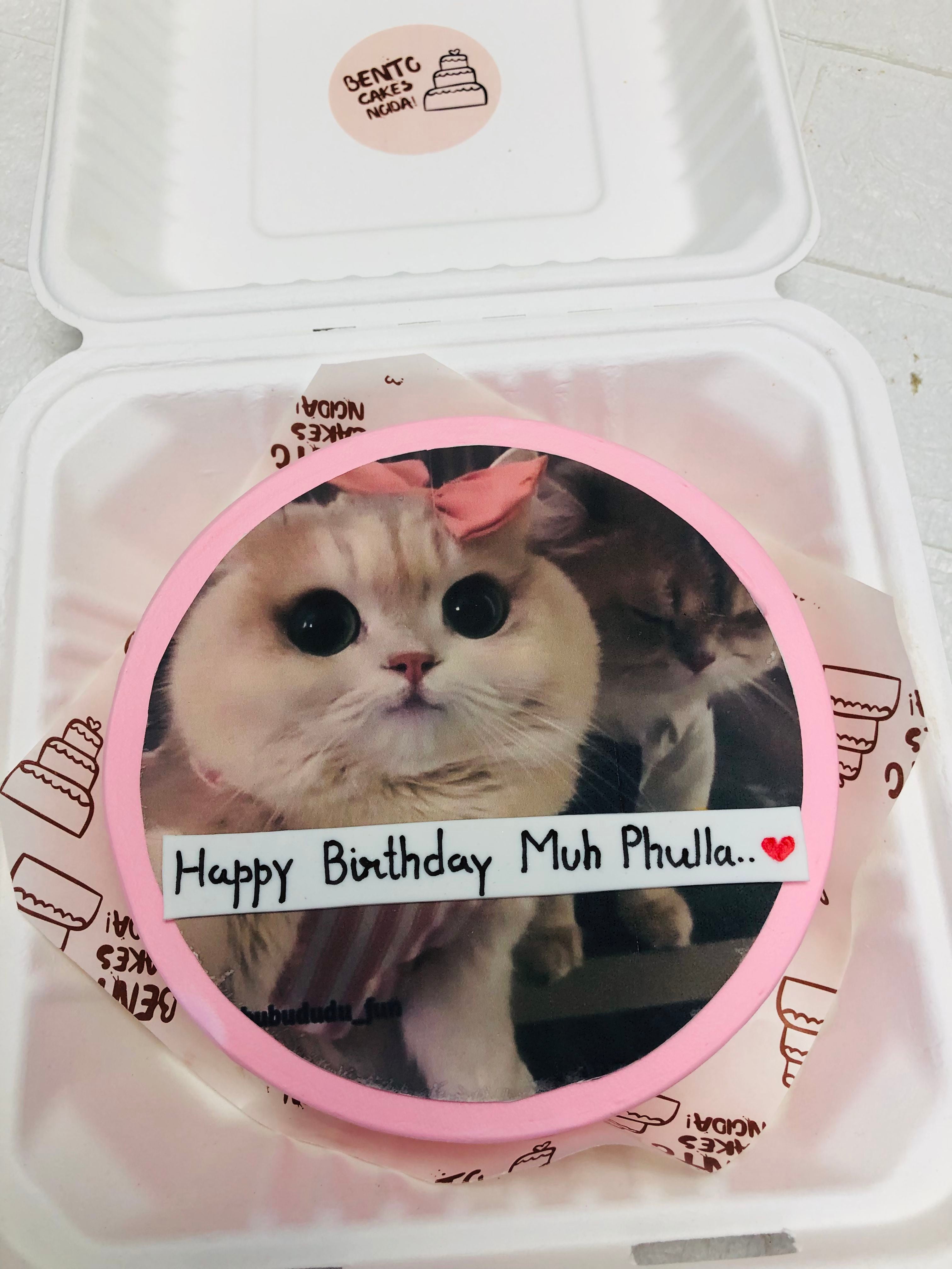 Cat-Themed Birthday Bento Cake