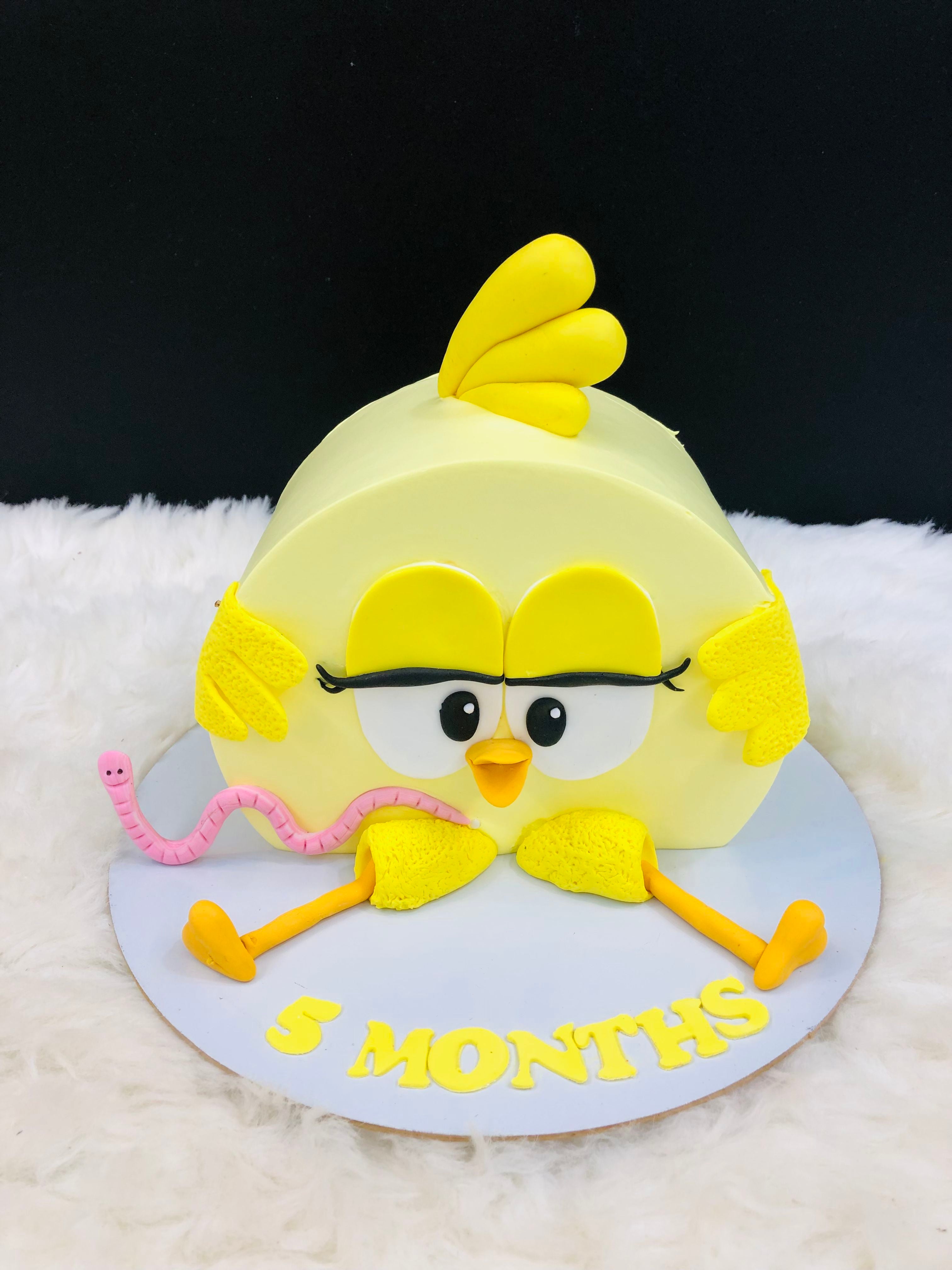 5-Month Baby Chick Cake
