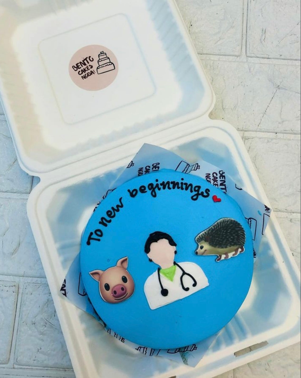 A blue bento cakre is designed for animals doctor with a doctor and some animals print on cake.