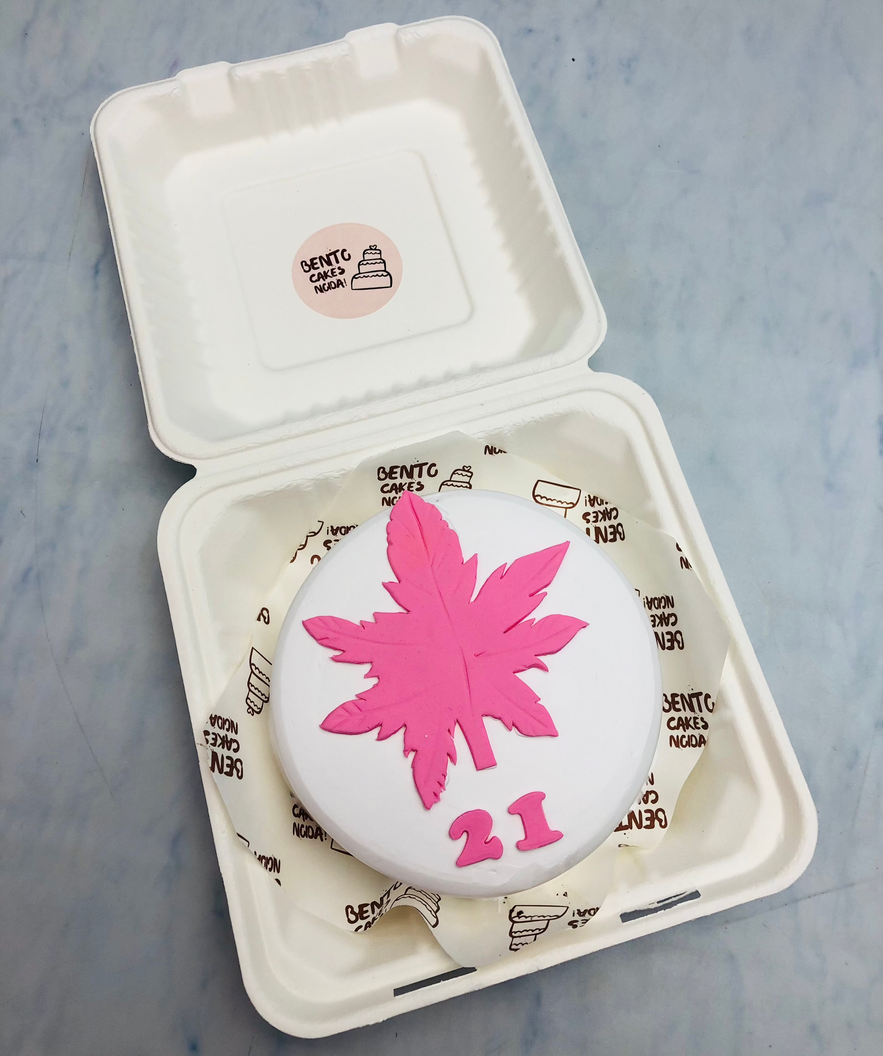 A white bento cake with a pink weed leaf design for 21st birthday.